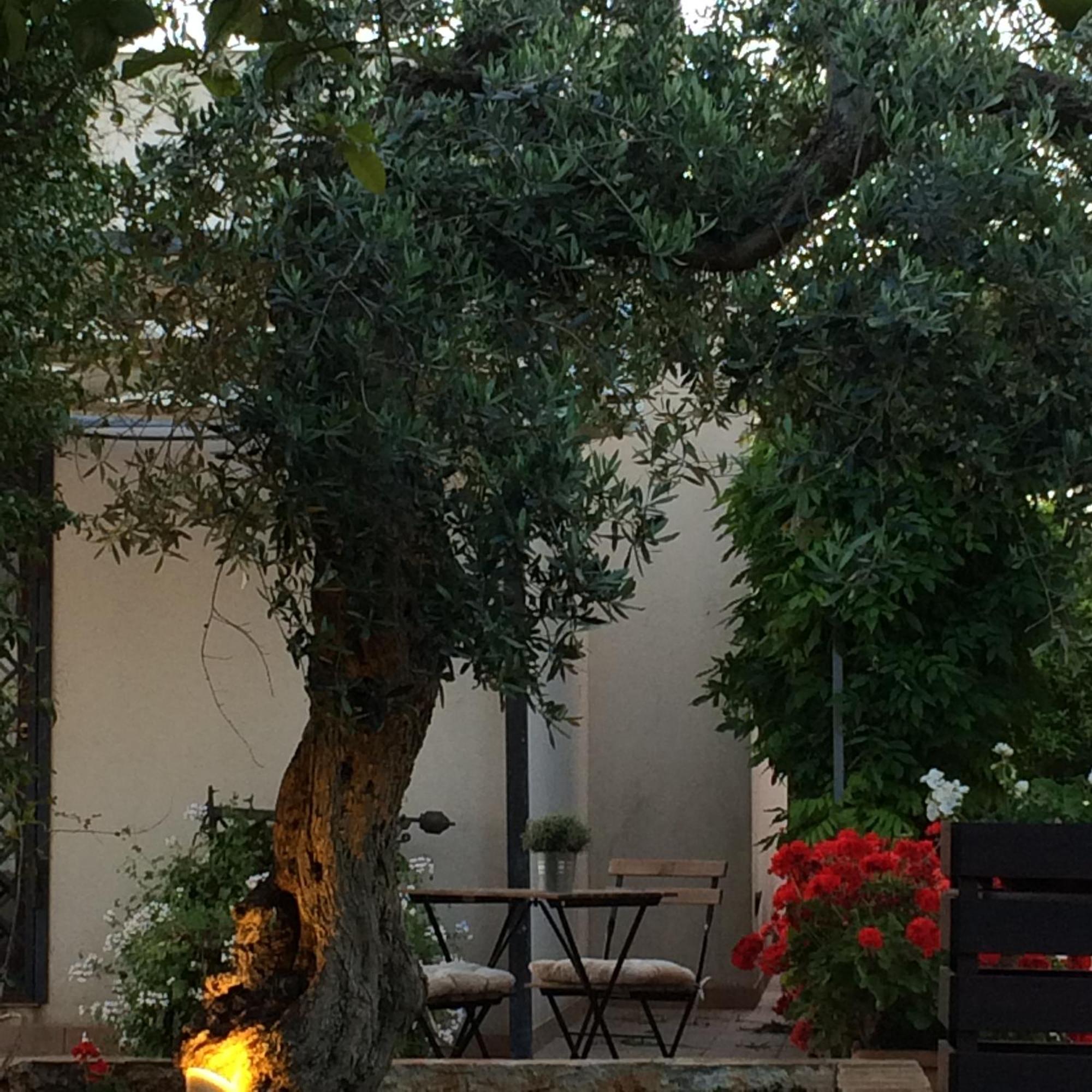 Villa Dimora La Grazia Castelvetrano Esterno foto